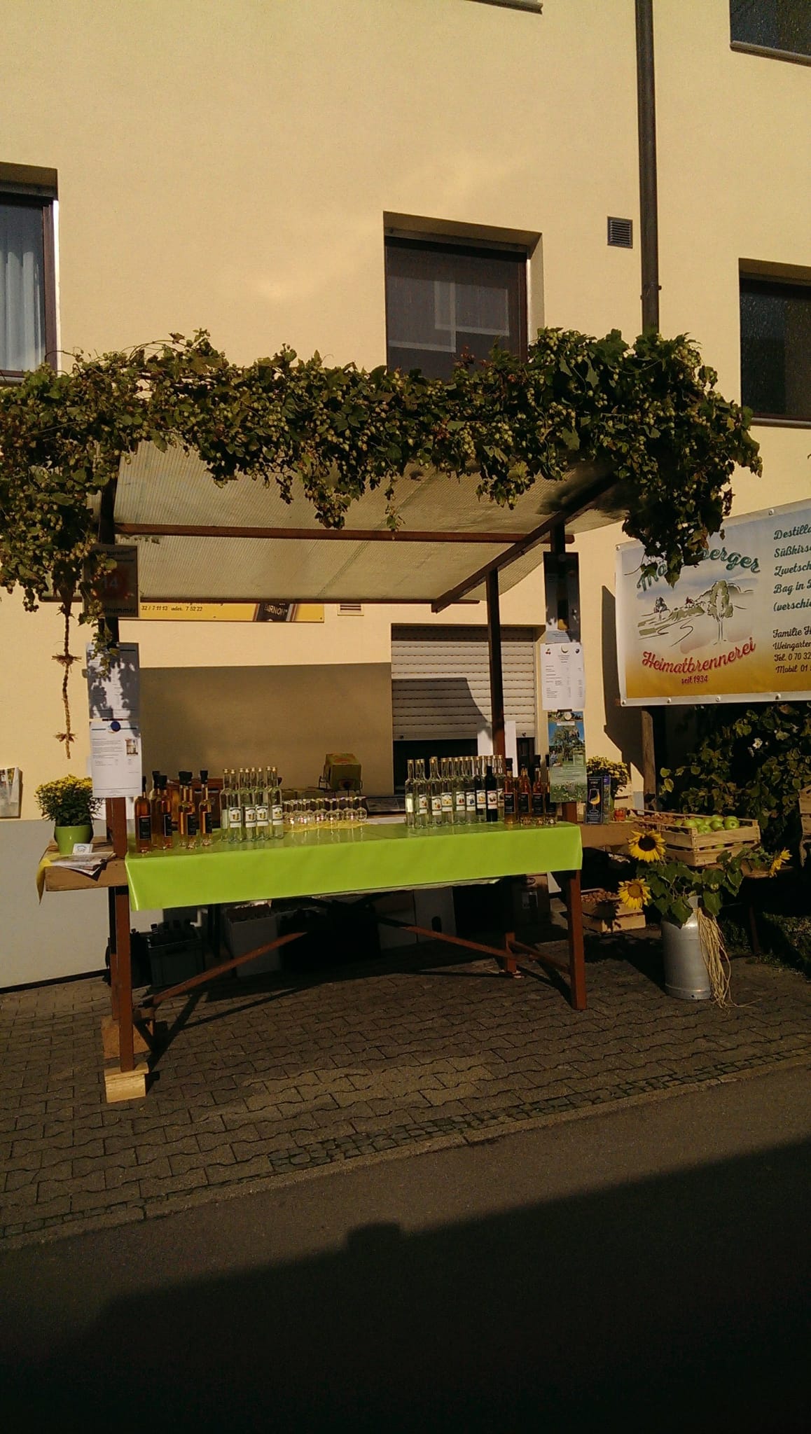 3. Oktober 2024 - Streuobsttag in Mönchberg und Kayh